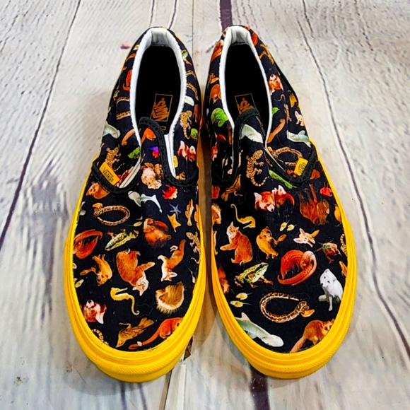 Vans Other - Unisex Vans Shoes, size 6